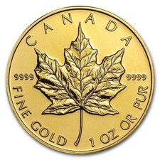 Canadian gold maple for sale  Oklahoma City
