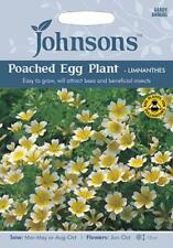 Poached egg plant for sale  NEWMARKET