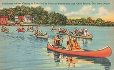 Native american indian for sale  Lake Ann