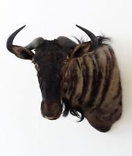 Streifengnu gnu schultermontag gebraucht kaufen  Neustadt in Sachsen
