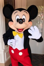 Mickey mascot top for sale  ULVERSTON