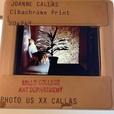 Joanne callas cibachrome for sale  Portland