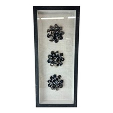 Agate geode flower for sale  Reseda
