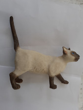 Leonardo cat siamese for sale  SOWERBY BRIDGE