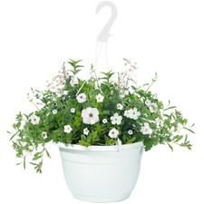 Outdoor white shades for sale  UK