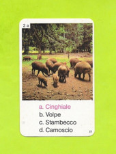 Italian card no. d'occasion  Expédié en Belgium