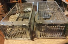Small medium sized for sale  Maple Lake