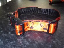 Orange blind dog for sale  OSWESTRY