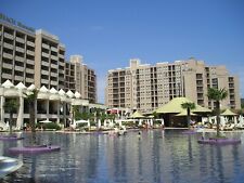 Apartment rent sunny for sale  UK