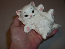 cute kitten for sale  Clarkston