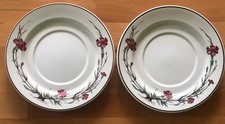 Botanica villeroy boch gebraucht kaufen  Datteln