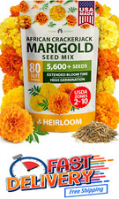 Home grown marigold for sale  Fredericksburg