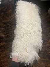 Mongolian cream curly for sale  BARNSLEY