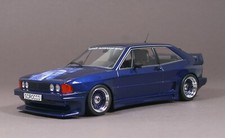 Scirocco rieger gto gebraucht kaufen  Friolzheim