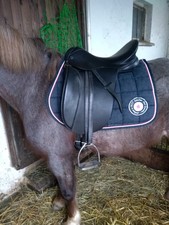 Hintermayer anatomic dressursa gebraucht kaufen  Creußen