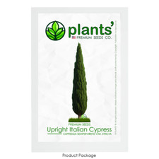 Upright italian cypress for sale  Claremont