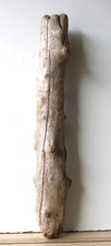 Treibholz schwemmholz driftwoo gebraucht kaufen  Halblech