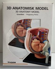 Anatomy model pregnancy for sale  NORTH FERRIBY