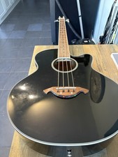 Freshman electro acoustic for sale  LOCKERBIE