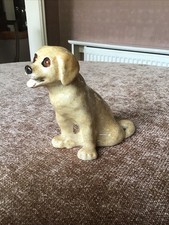 Winstanley golden labrador for sale  WEST WICKHAM