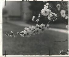 1968 press photo for sale  Memphis