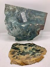 Vtg green petrified for sale  Hales Corners