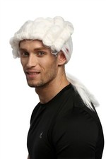 Perücke herren karneval gebraucht kaufen Perücke herren karneval gebraucht kaufen  Frankfurt (Oder)