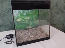 Askoll pure led usato  Torino