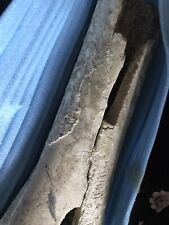 tibia for sale  BEXHILL-ON-SEA