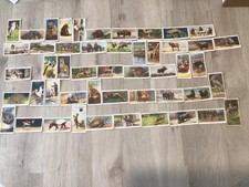 Ogden cigarette cards for sale  NORTHALLERTON