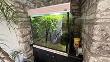 Aqua one 60cm for sale  CARDIFF