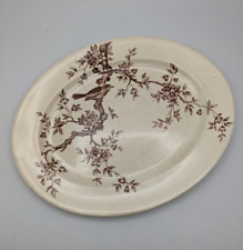 Ancien plat ovale d'occasion  Saint-Lambert-du-Lattay