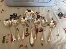 shell spoon for sale shell spoon for sale MORECAMBE