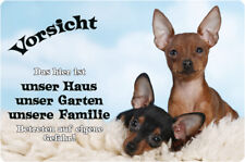 Prager rattler metall gebraucht kaufen  Barby