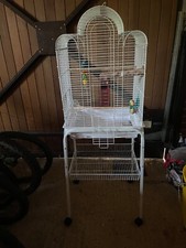 Large decorative bird for sale  WALTHAM CROSS