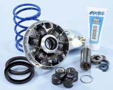 241.749 variatore polini usato  Italia