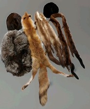 Konvolut pelzkrage echtfell gebraucht kaufen Konvolut pelzkrage echtfell gebraucht kaufen  Marpingen