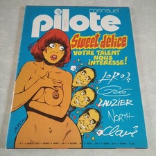 Magazine revue pilote d'occasion  Haubourdin