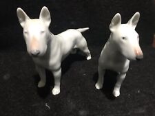 English bull terrier for sale  Dallas