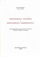 Responsabilita contabile respo usato  Italia