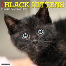 Black kittens 2026 gebraucht kaufen  Versand nach Germany