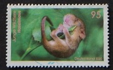 Bund 2020 3563 gebraucht kaufen Bund 2020 3563 gebraucht kaufen  Dortmund