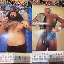 1990 njpw 11.5 for sale  Manor