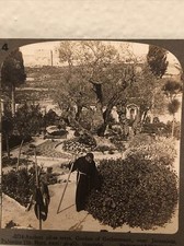 Underwood stereoview card for sale  San Diego