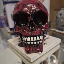 skulls for sale skulls for sale NORTHAMPTON