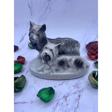 Scotty dog puppies for sale  Manassas
