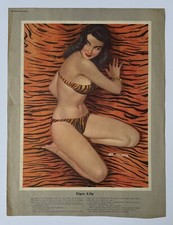 Tiger lily original for sale  Blaine