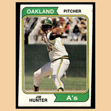 Jim hunter 1974 for sale  Ambler