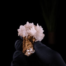 Cérusite wulfenite d'occasion  Vals-les-Bains