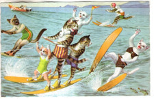 Cartão postal vintage ALFRED MAINZER CATS #4972 - DIVERSÃO PARA ESQUI AQUÁTICO, usado comprar usado  Enviando para Brazil